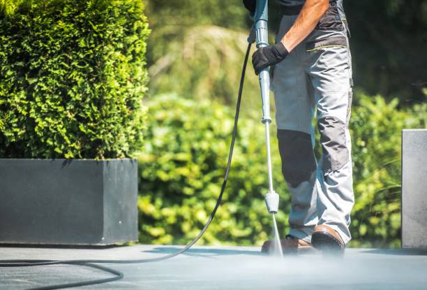 Best Driveway Pressure Washing  in Mount Airy, NC
